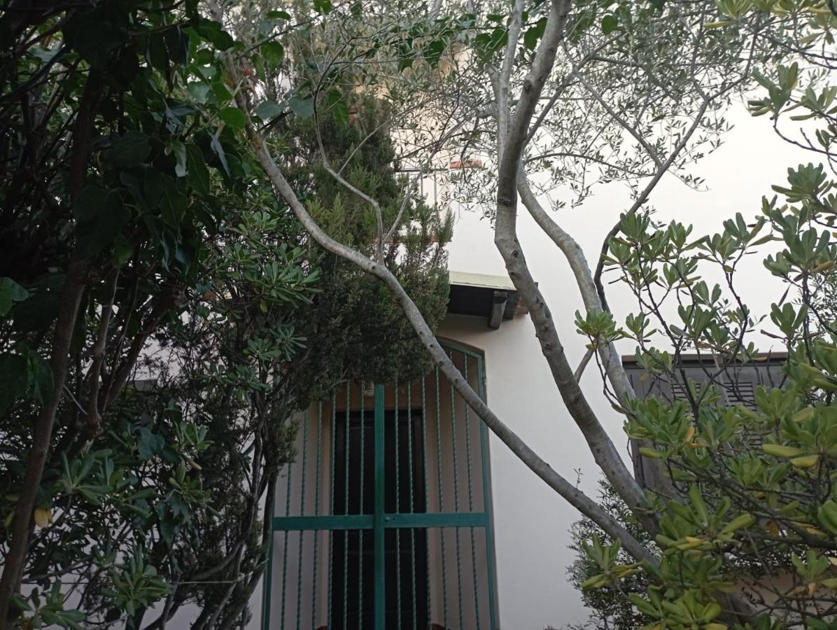 Domus Garden Bed & Breakfast Olbia Dış mekan fotoğraf