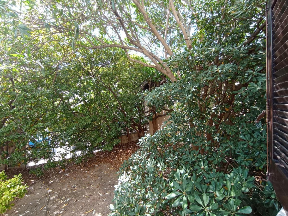 Domus Garden Bed & Breakfast Olbia Dış mekan fotoğraf