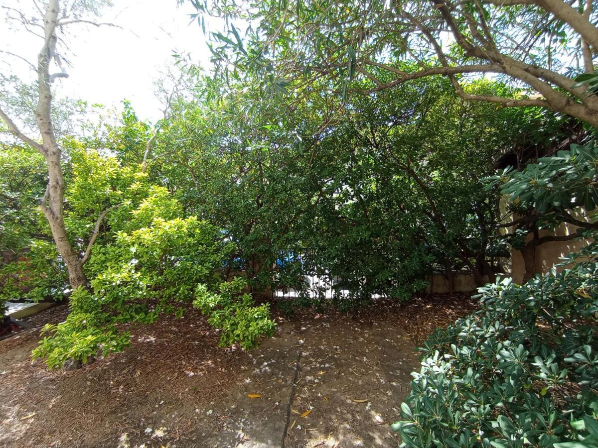 Domus Garden Bed & Breakfast Olbia Dış mekan fotoğraf
